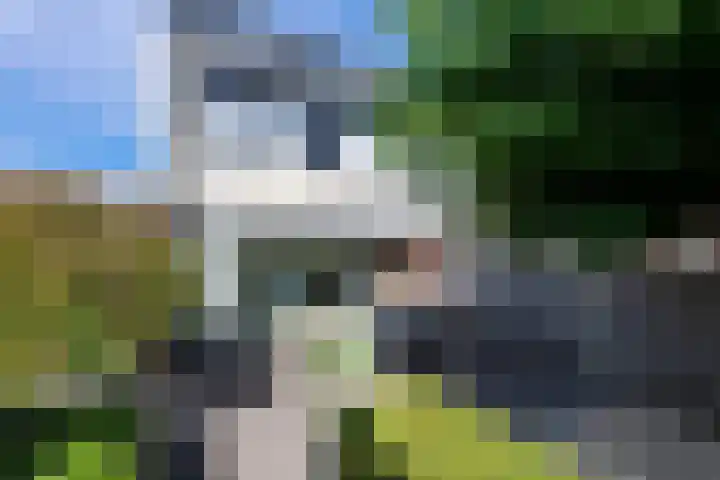 Ossendrechtstraat 94 Tilburg thumbnail 38