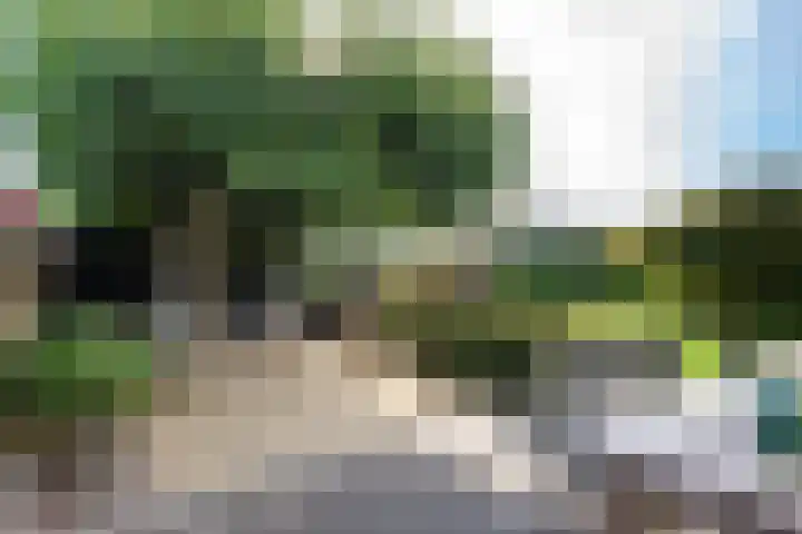 Ossendrechtstraat 94 Tilburg thumbnail 5