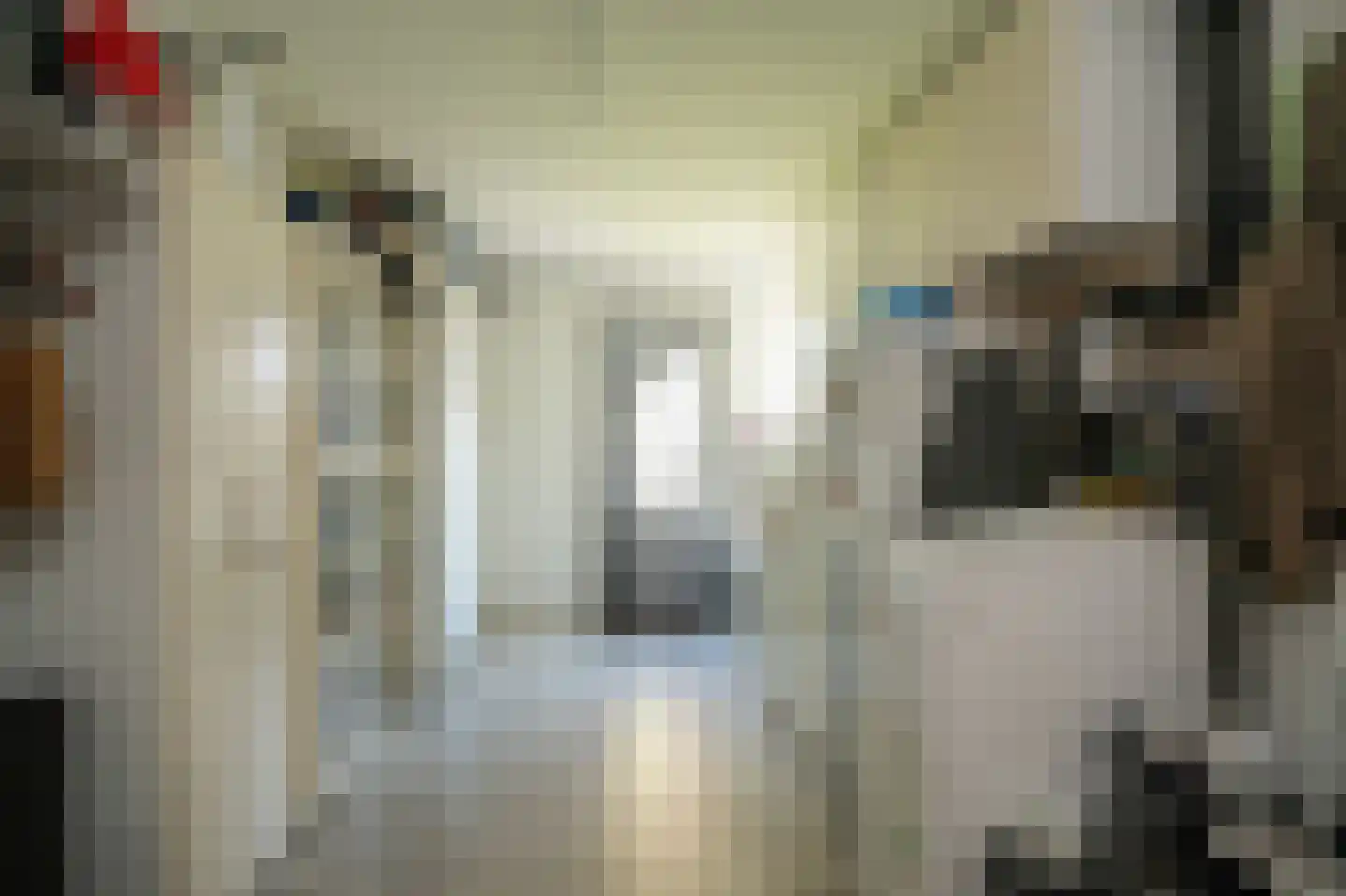 Ossengang 23 Geldermalsen thumbnail 22