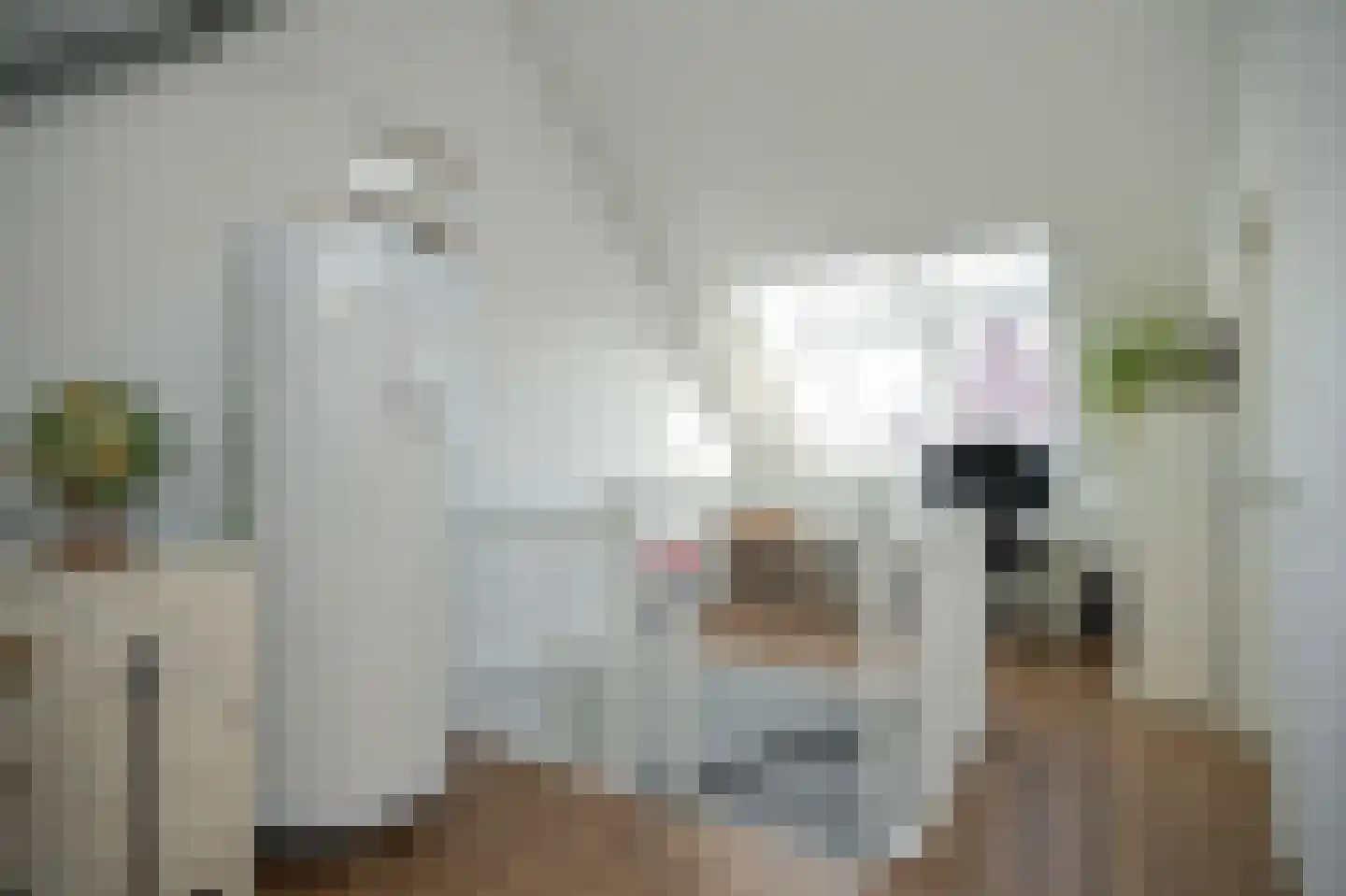 Ossengang 23 Geldermalsen thumbnail 31