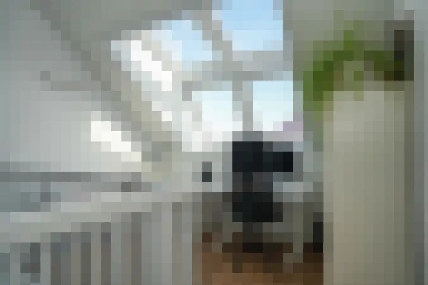 Ossengang 23 Geldermalsen thumbnail 33