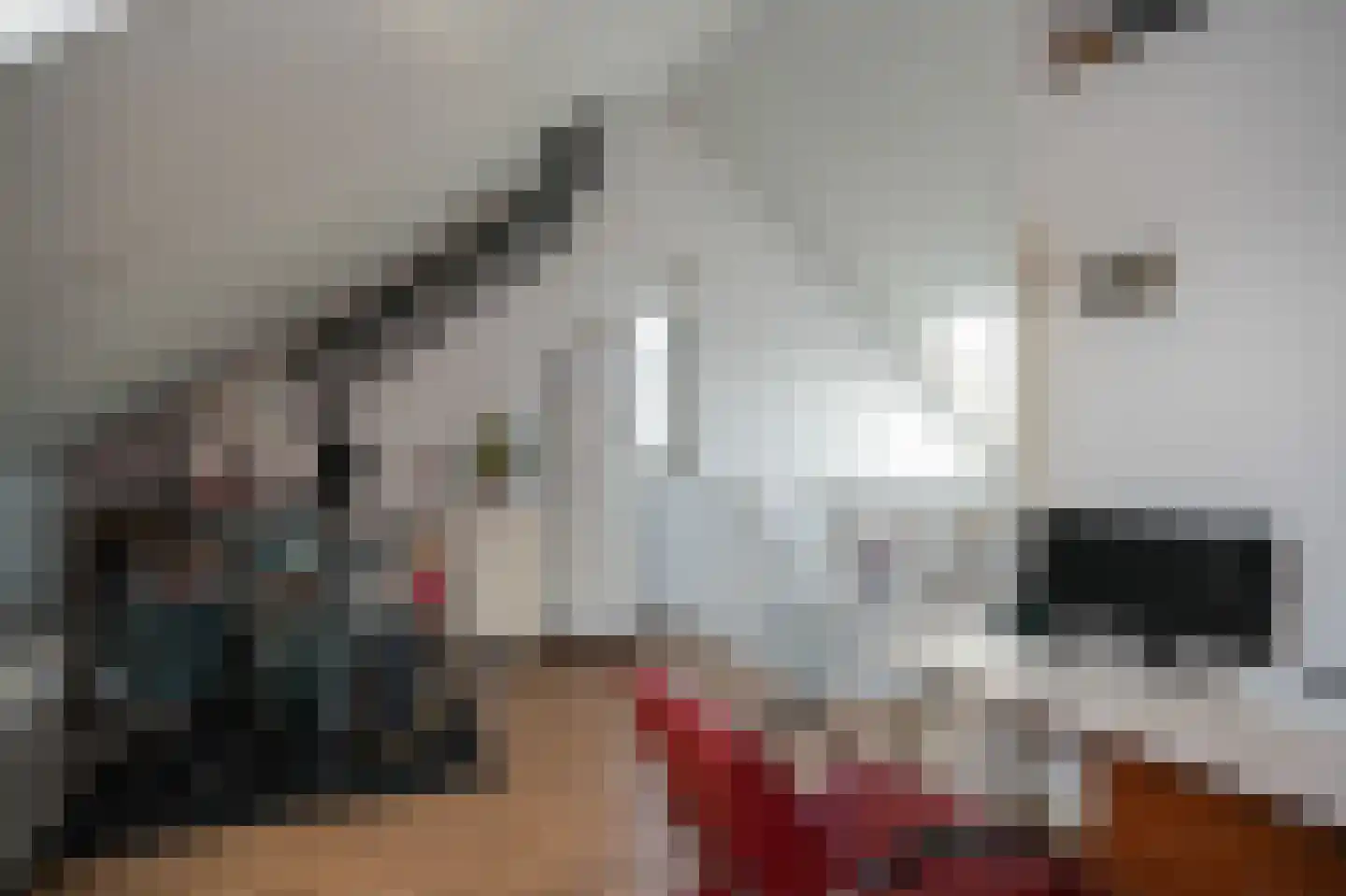 Ossengang 23 Geldermalsen thumbnail 34