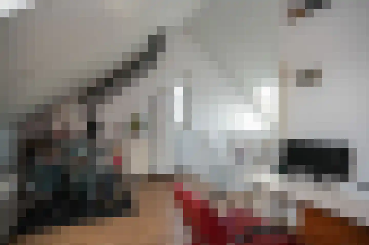 Ossengang 23 Geldermalsen thumbnail 35