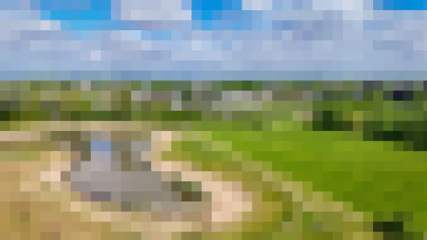Ossengang 23 Geldermalsen thumbnail 56