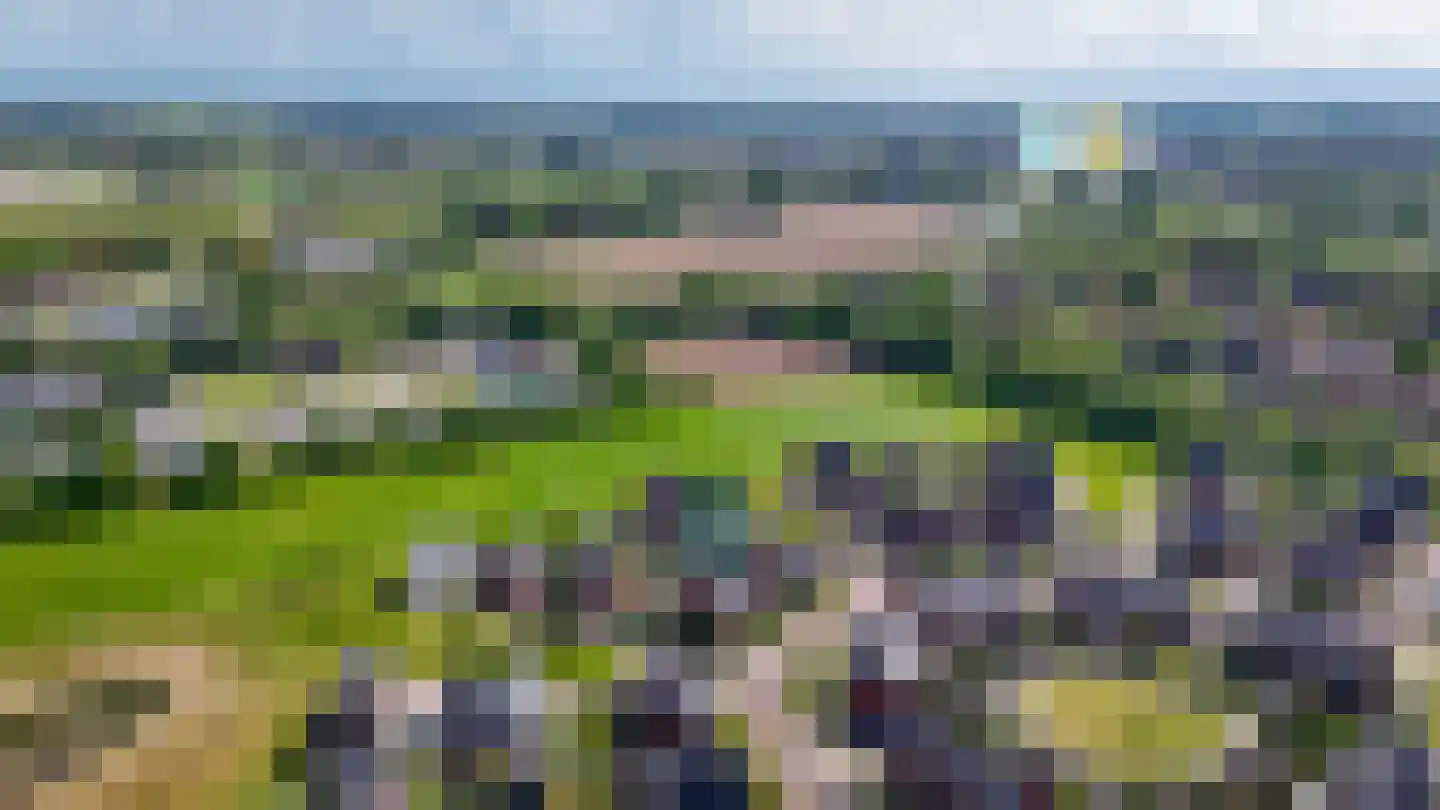 Ossengang 23 Geldermalsen thumbnail 59