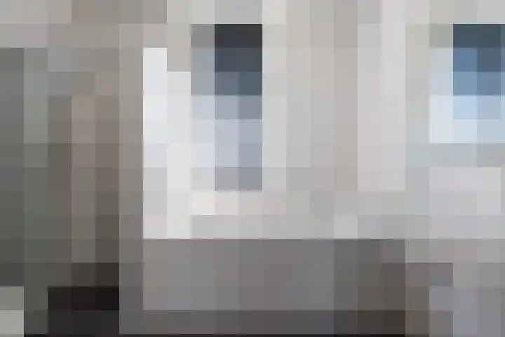 Ossengang 6 Geldermalsen thumbnail 10