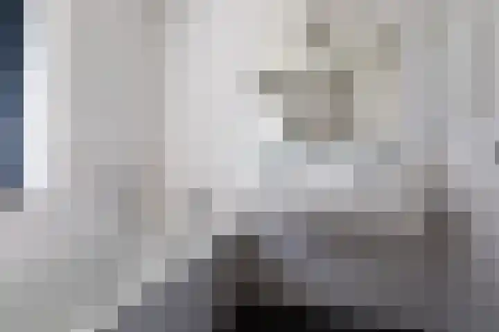 Ossengang 6 Geldermalsen thumbnail 11
