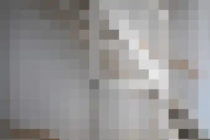 Ossengang 6 Geldermalsen thumbnail 13