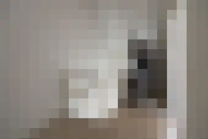 Ossengang 6 Geldermalsen thumbnail 14