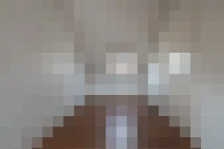 Ossengang 6 Geldermalsen thumbnail 16