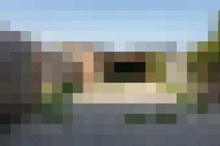 Ossengang 6 Geldermalsen thumbnail 18