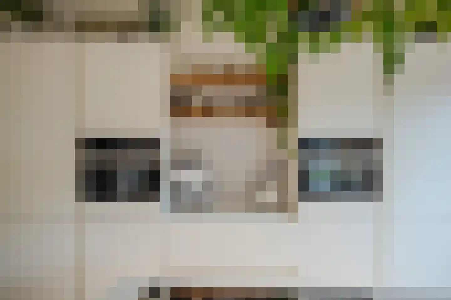 Ossenhoofdstraat 7 Goes thumbnail 10