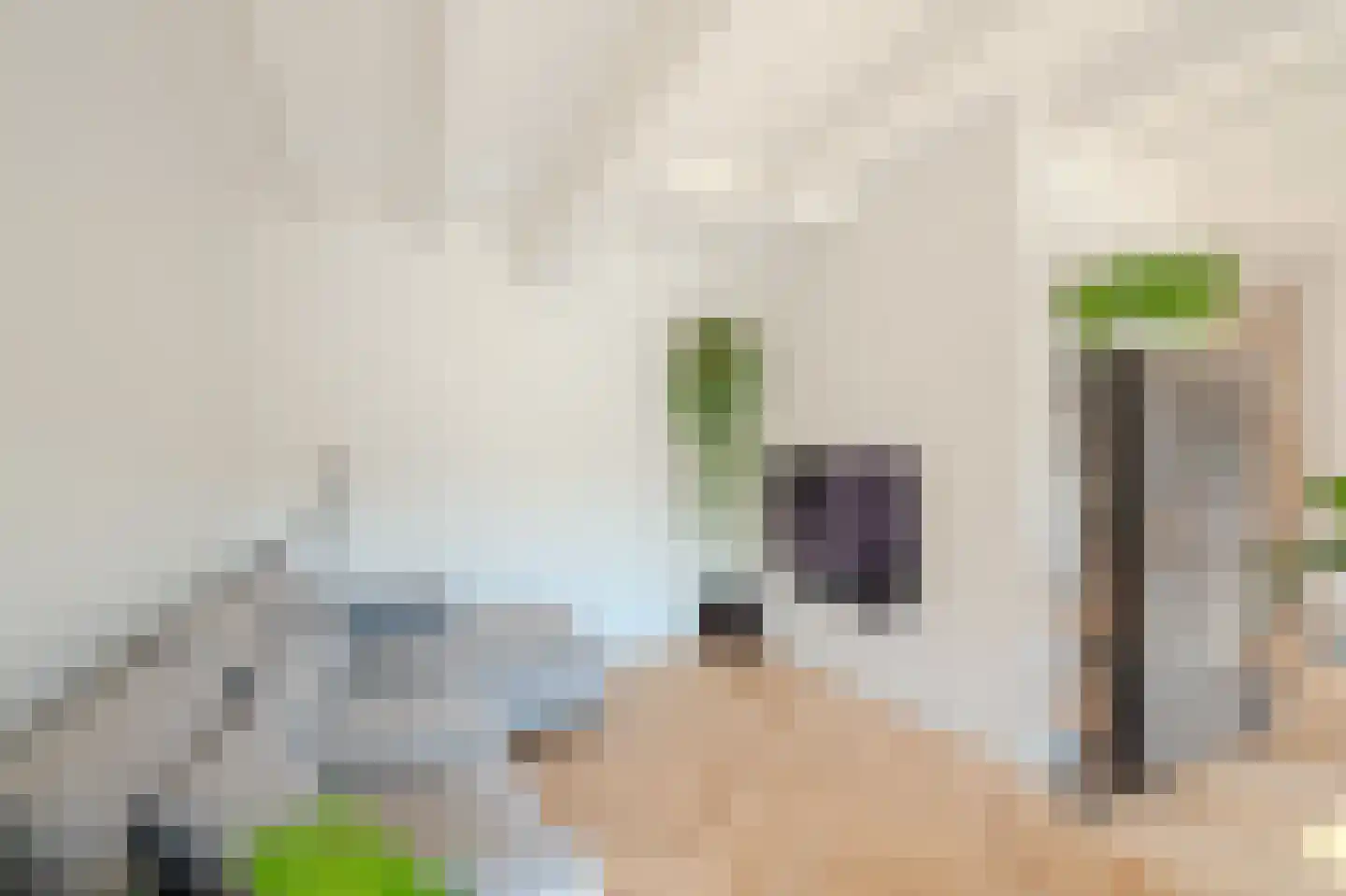 Ossenhoofdstraat 7 Goes thumbnail 17