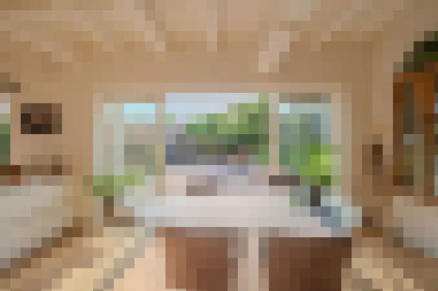 Ossenhoofdstraat 7 Goes thumbnail 19