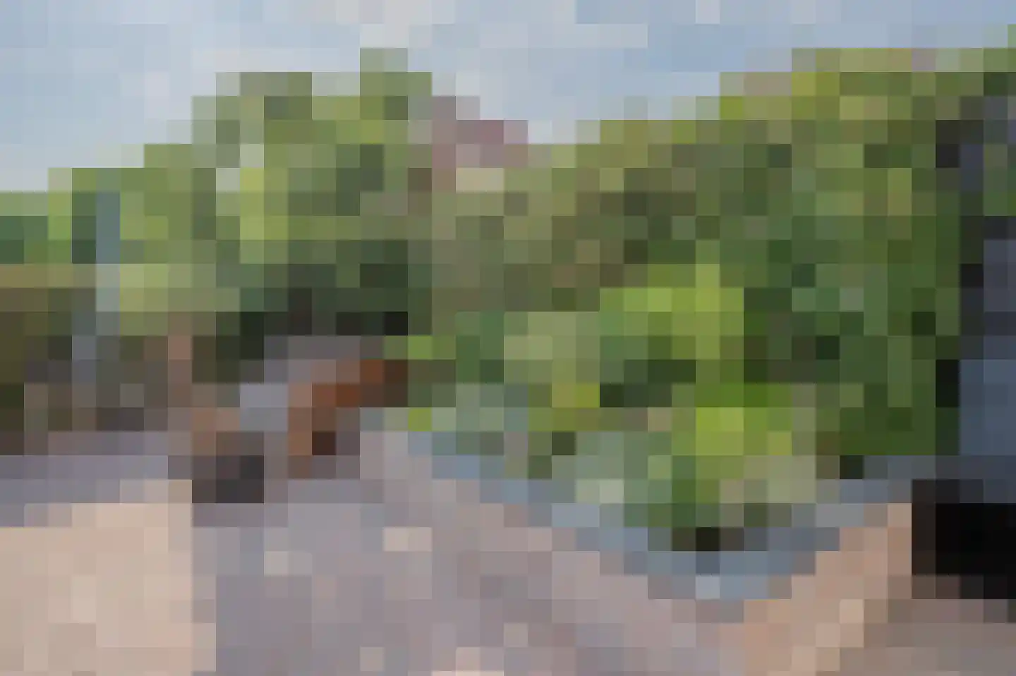 Ossenhoofdstraat 7 Goes thumbnail 23