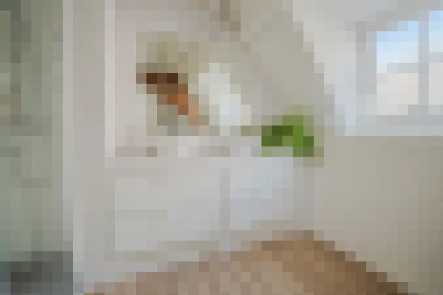 Ossenhoofdstraat 7 Goes thumbnail 26