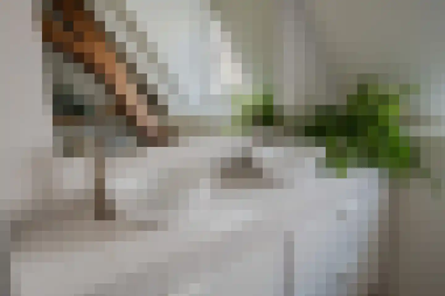 Ossenhoofdstraat 7 Goes thumbnail 27