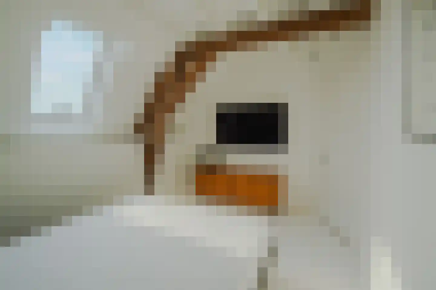 Ossenhoofdstraat 7 Goes thumbnail 29