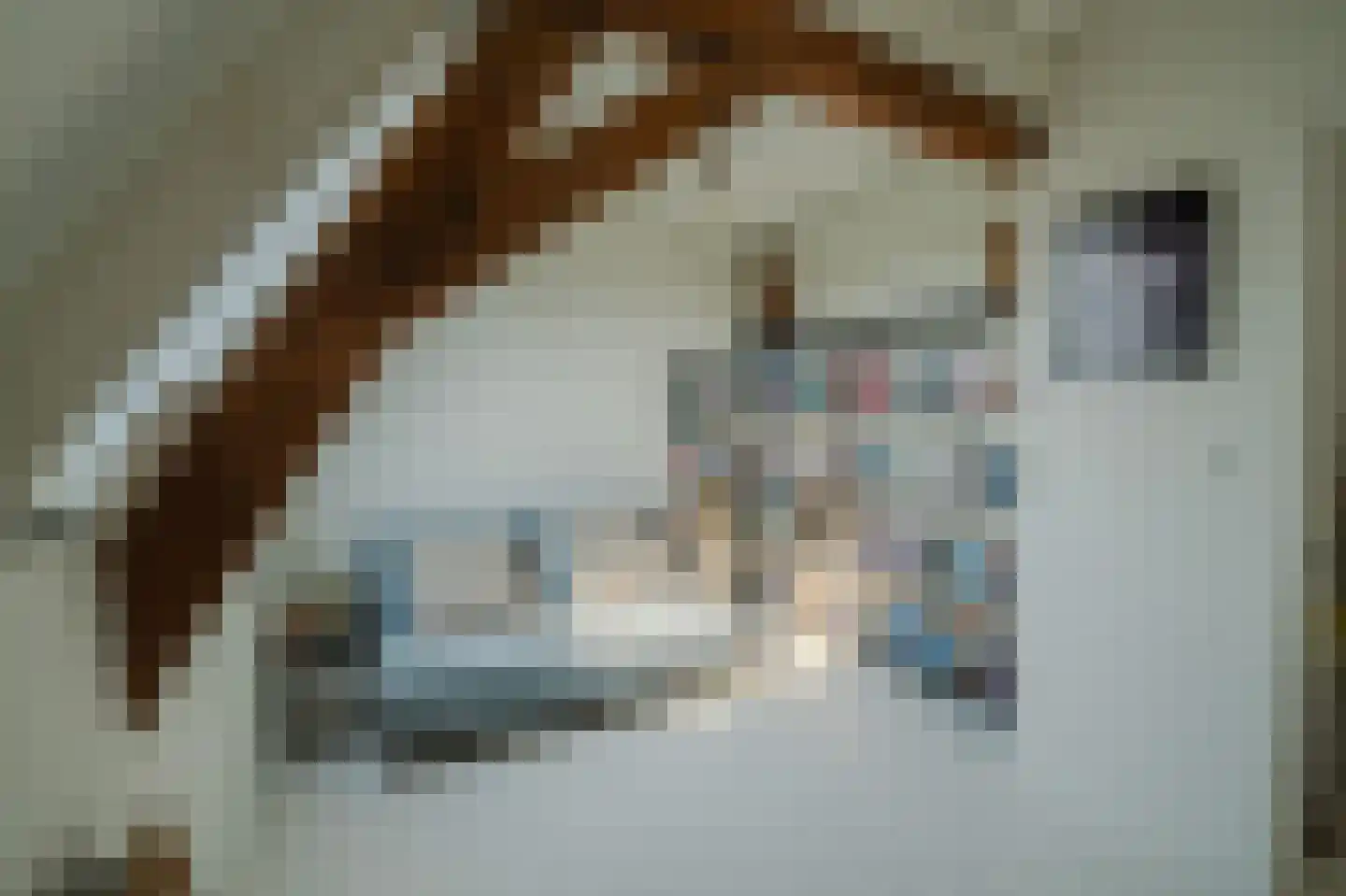Ossenhoofdstraat 7 Goes thumbnail 30
