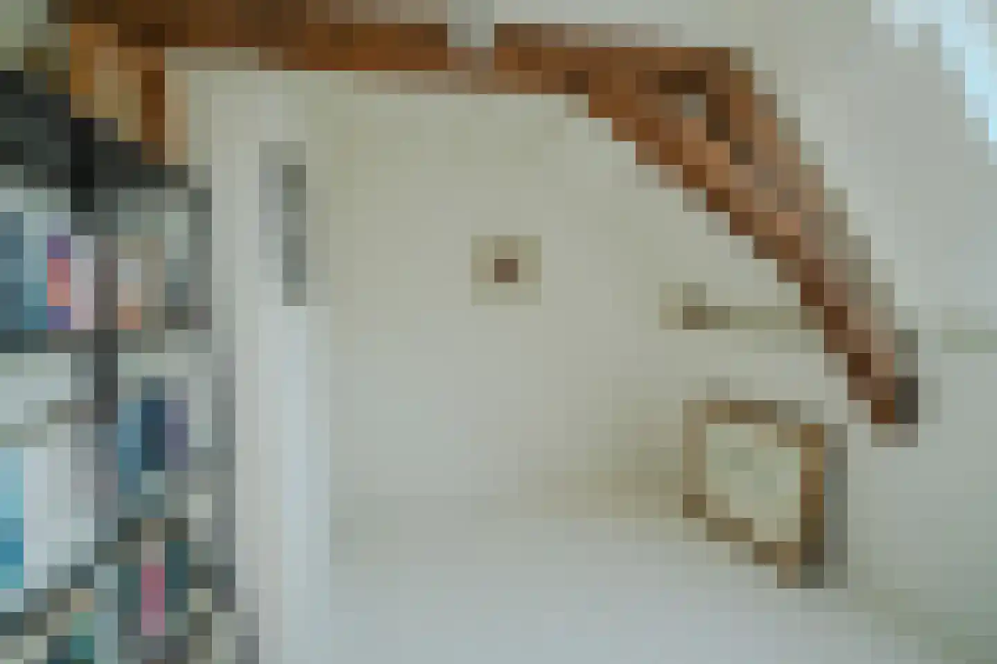 Ossenhoofdstraat 7 Goes thumbnail 32