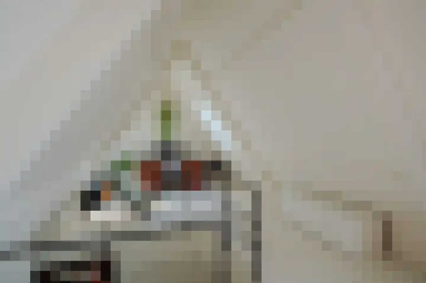 Ossenhoofdstraat 7 Goes thumbnail 36