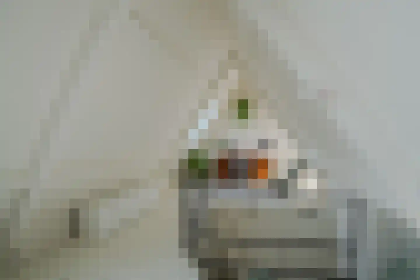 Ossenhoofdstraat 7 Goes thumbnail 38