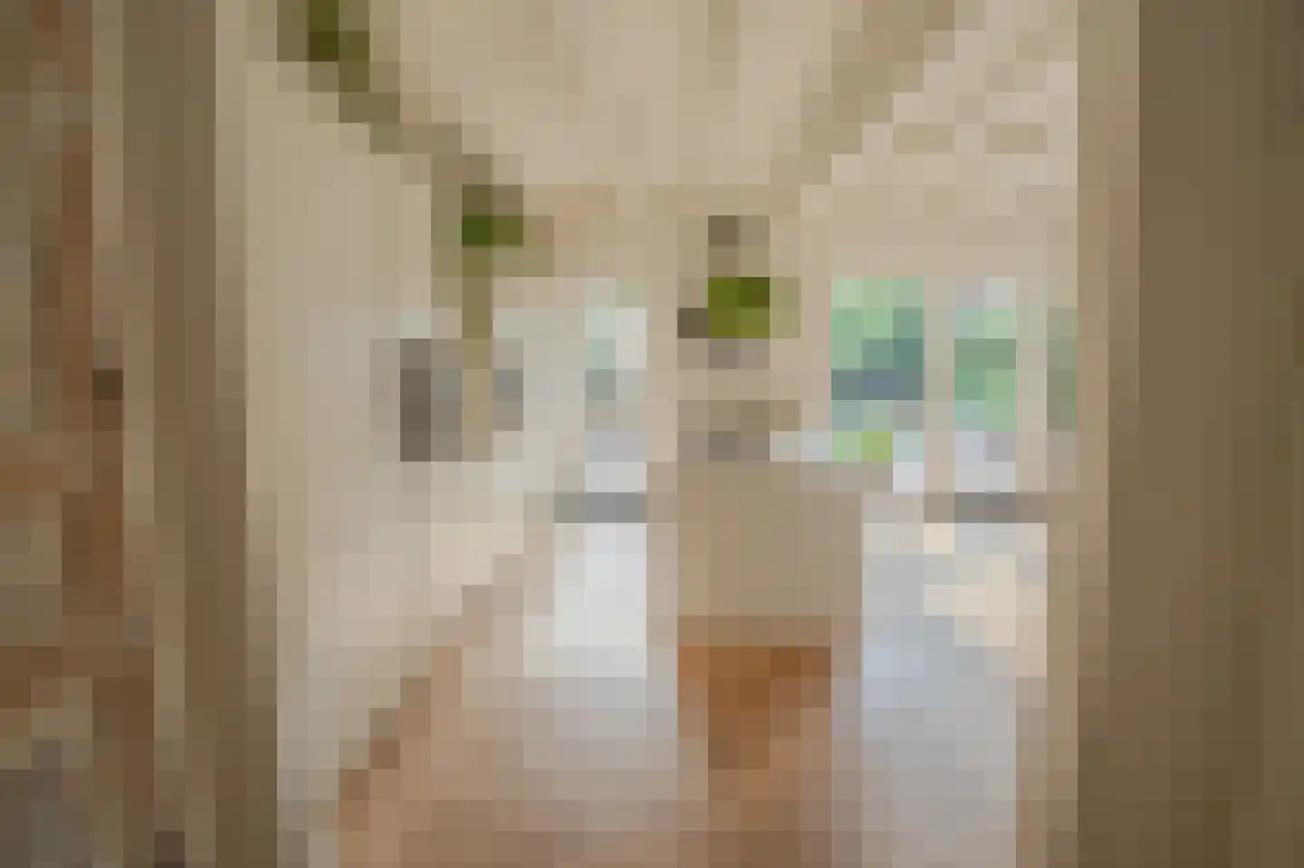 Ossenhoofdstraat 7 Goes thumbnail 7