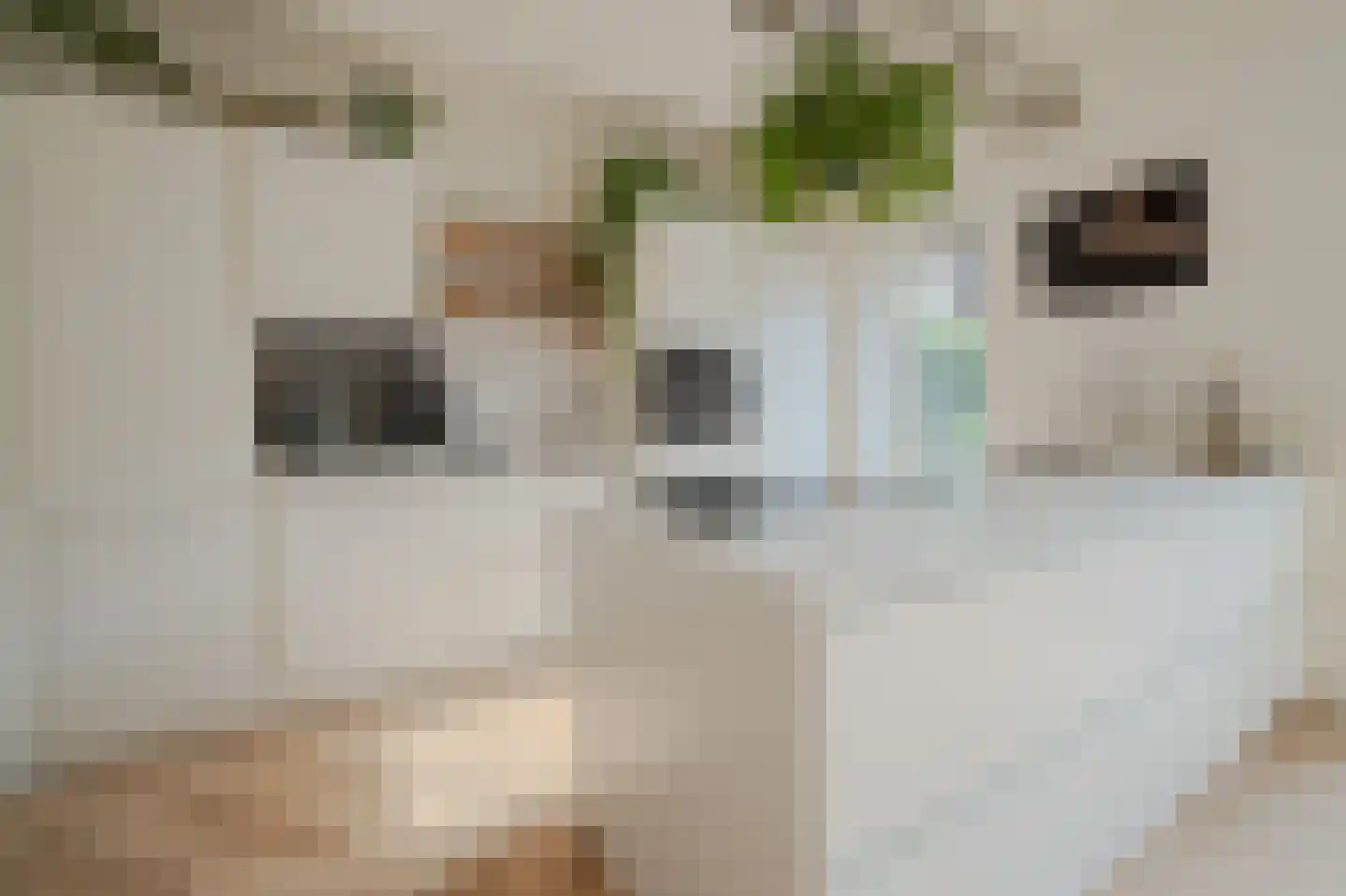 Ossenhoofdstraat 7 Goes thumbnail 8
