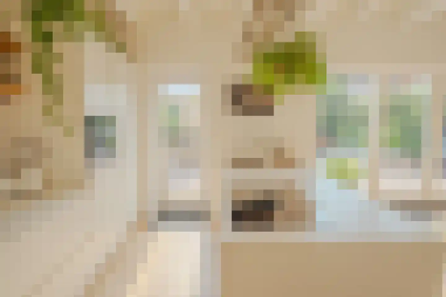Ossenhoofdstraat 7 Goes thumbnail 9