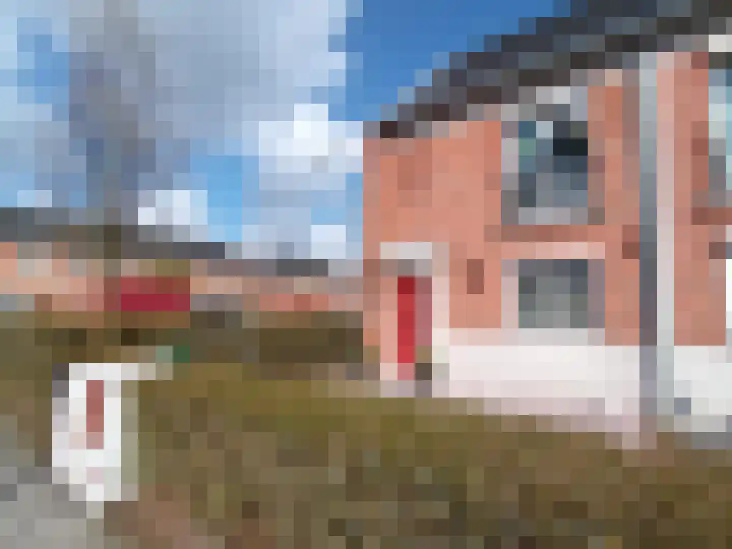 Ossenisseweg 13 Rotterdam thumbnail 6