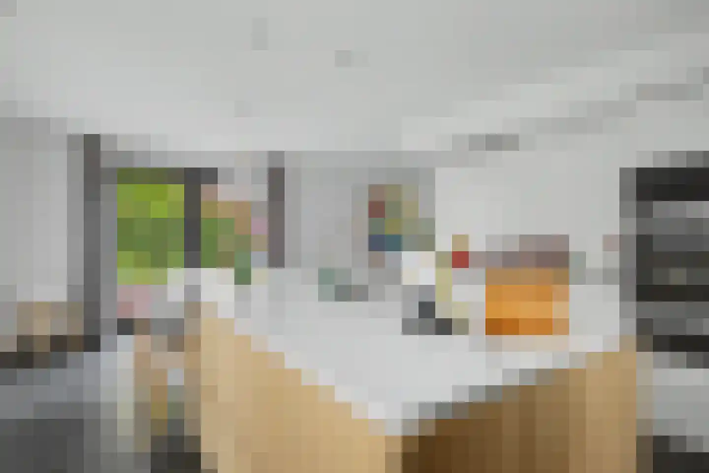 Ossenkamp 17 Hooglanderveen thumbnail 14