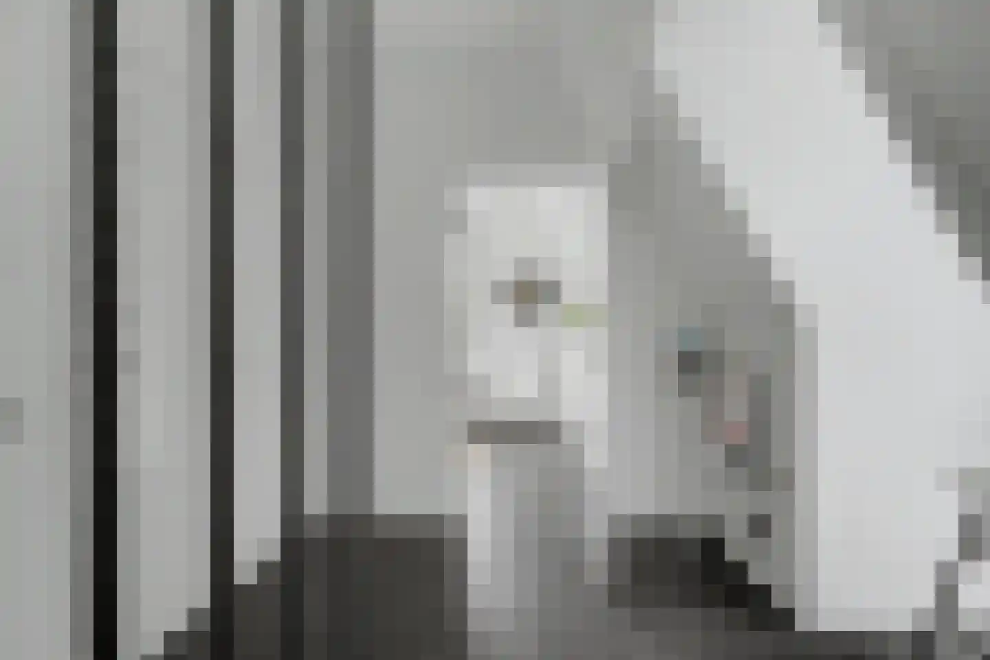 Ossenkamp 17 Hooglanderveen thumbnail 34
