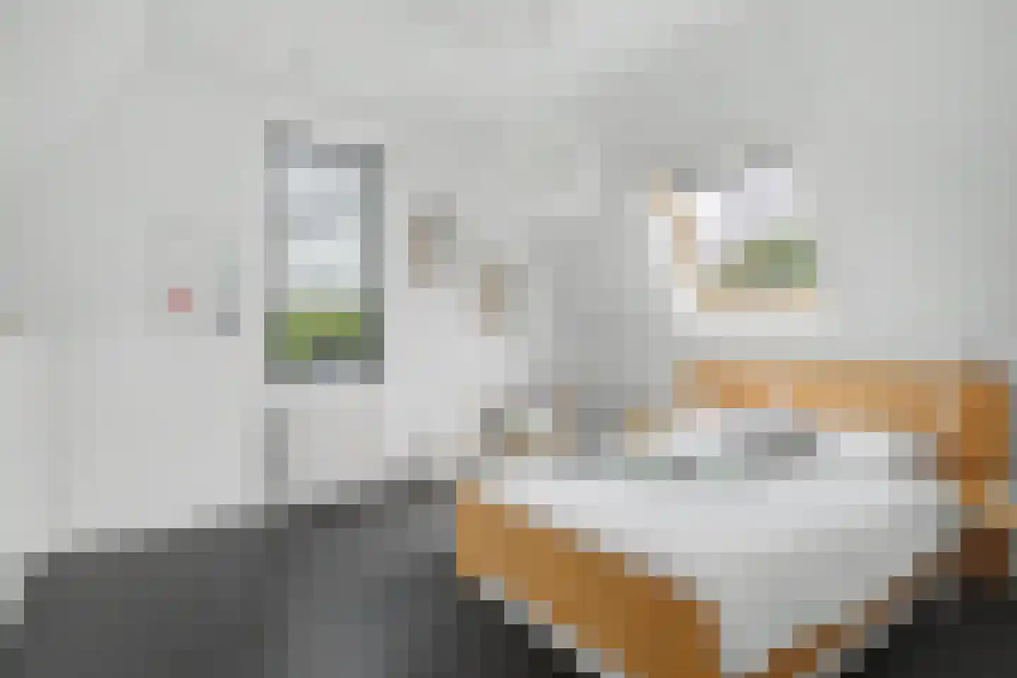 Ossenkamp 17 Hooglanderveen thumbnail 35