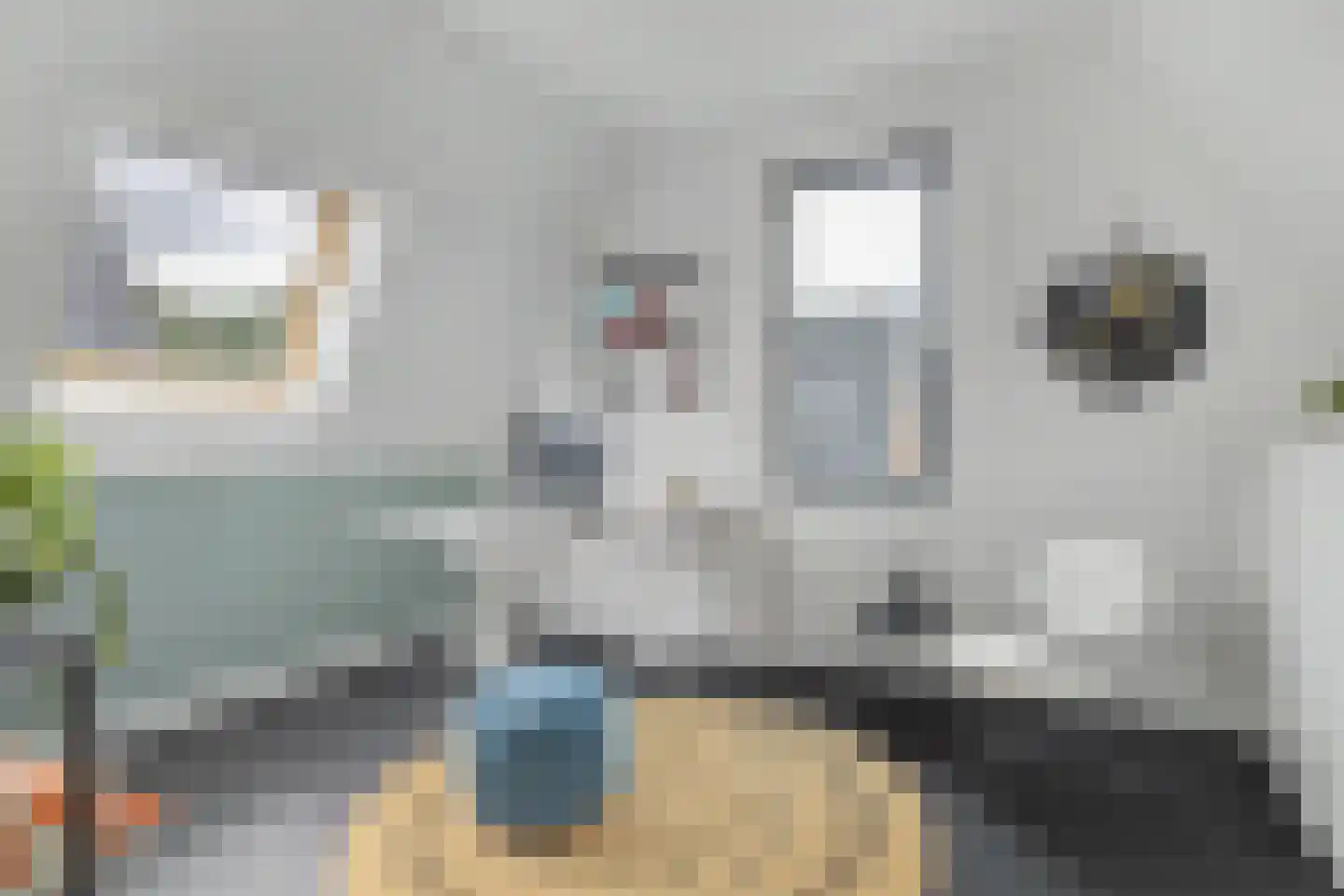 Ossenkamp 17 Hooglanderveen thumbnail 37