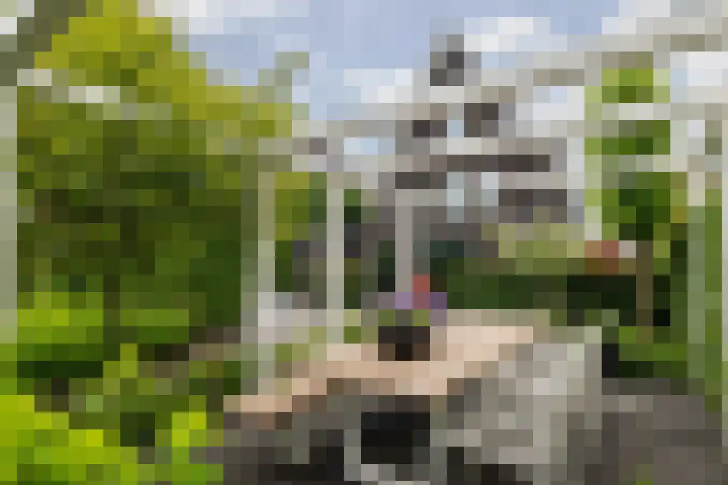 Ossenkamp 17 Hooglanderveen thumbnail 44