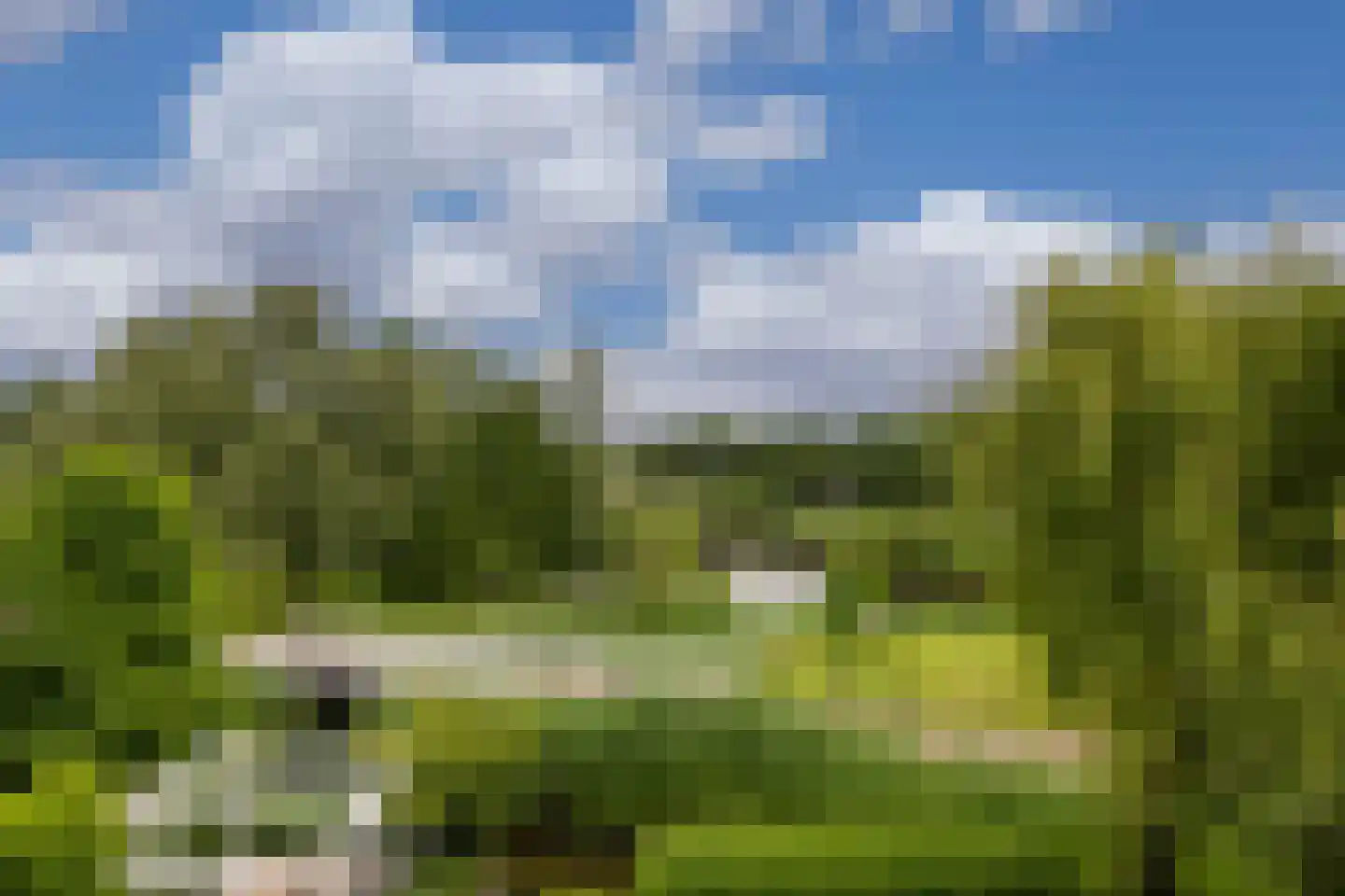 Ossenkamp 17 Hooglanderveen thumbnail 47
