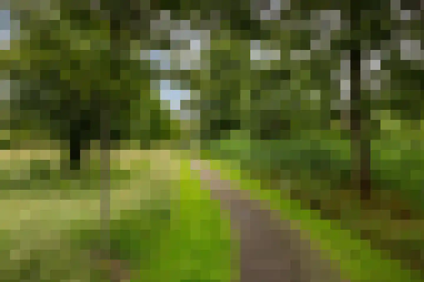 Ossenkamp 17 Hooglanderveen thumbnail 52