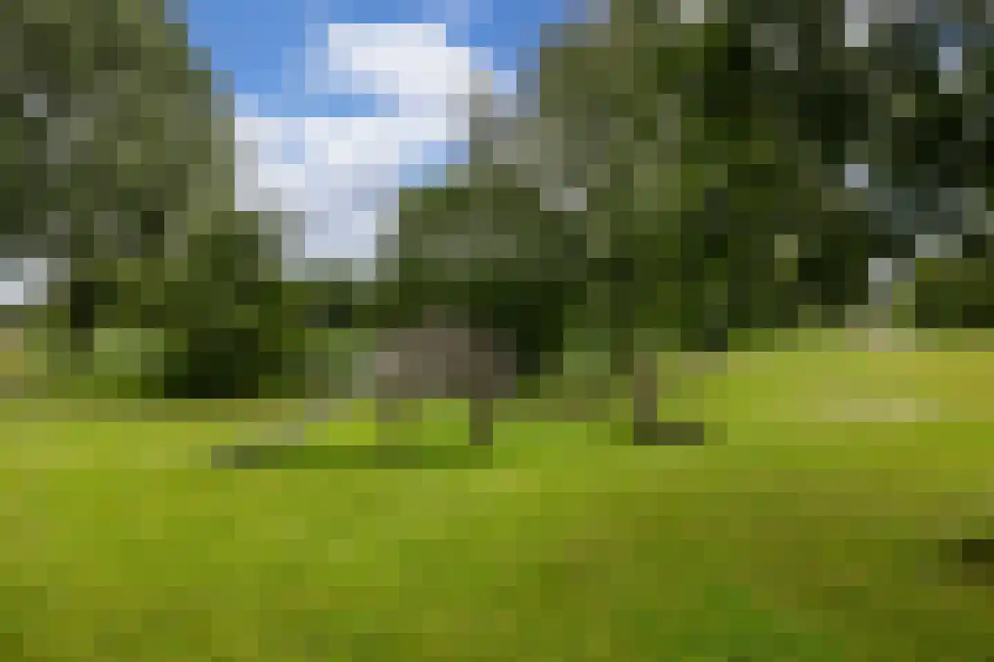 Ossenkamp 17 Hooglanderveen thumbnail 54
