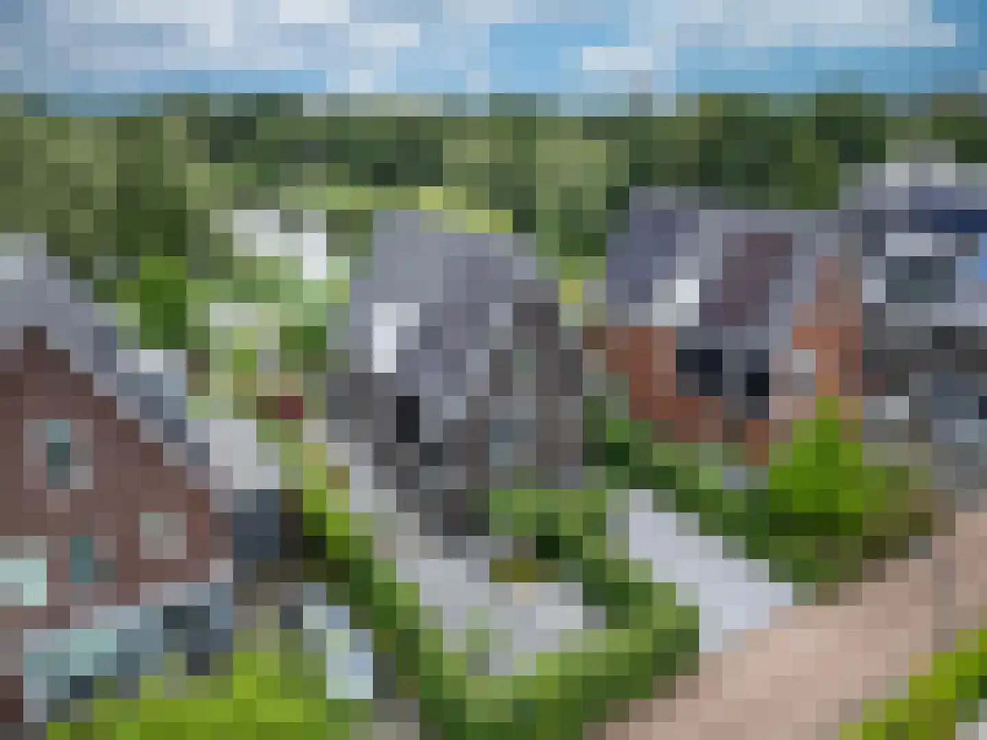 Ossenkamp 17 Hooglanderveen thumbnail 60