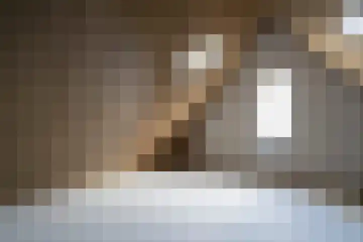 Ossenkamp 24 Culemborg thumbnail 18