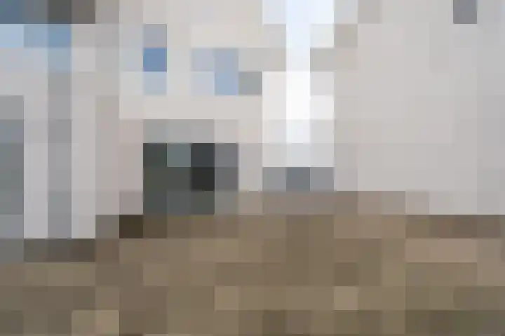 Ossenkamp 24 Culemborg thumbnail 22