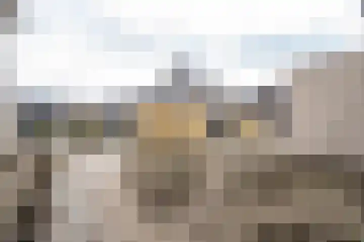 Ossenkamp 24 Culemborg thumbnail 23