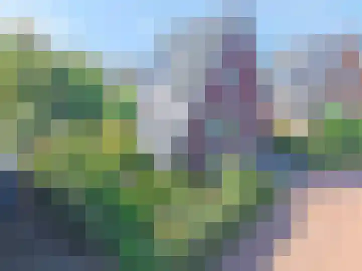 Ossenkamp 3 Hooglanderveen thumbnail 10