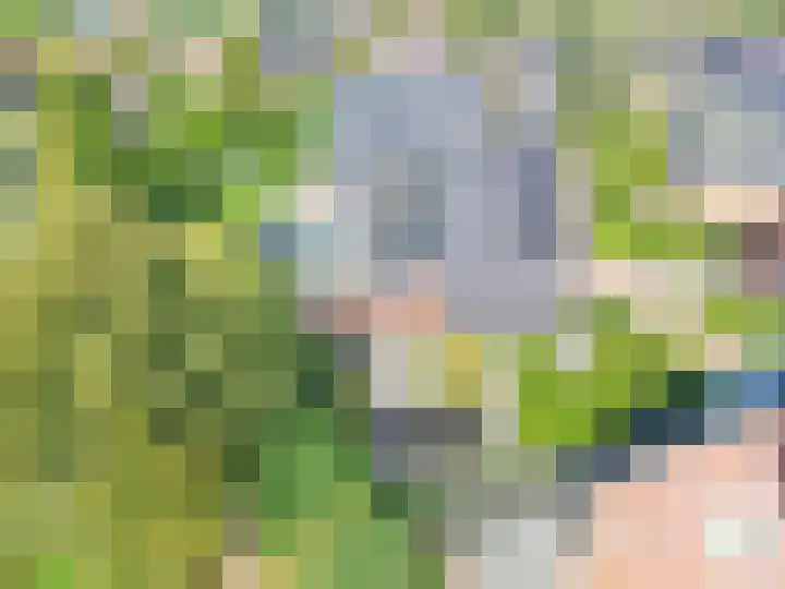 Ossenkamp 3 Hooglanderveen thumbnail 11