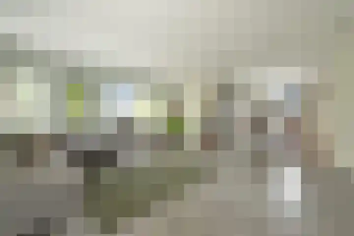 Ossenkamp 3 Hooglanderveen thumbnail 13