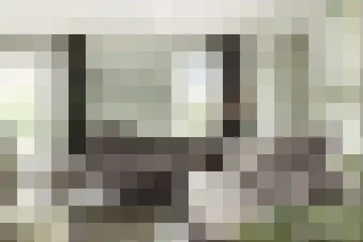 Ossenkamp 3 Hooglanderveen thumbnail 14