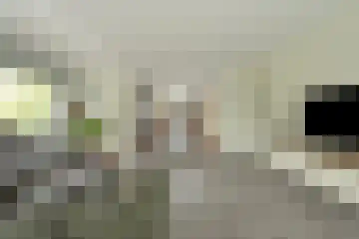 Ossenkamp 3 Hooglanderveen thumbnail 15