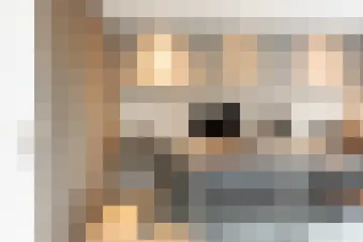 Ossenkamp 3 Hooglanderveen thumbnail 18