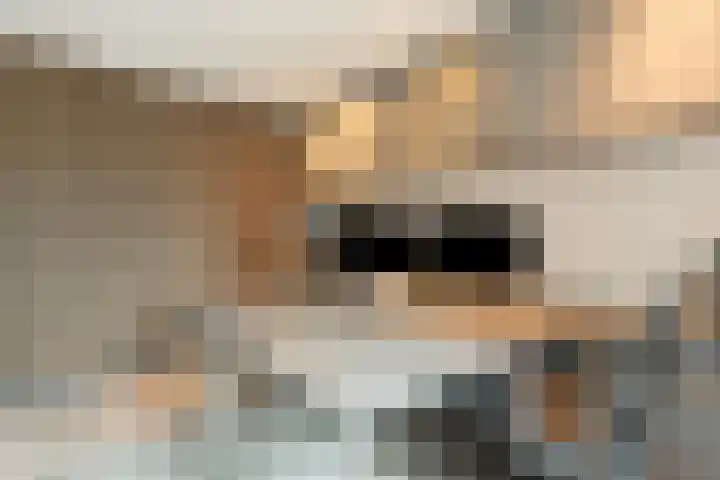 Ossenkamp 3 Hooglanderveen thumbnail 19