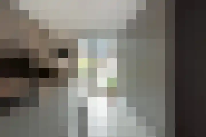 Ossenkamp 3 Hooglanderveen thumbnail 20